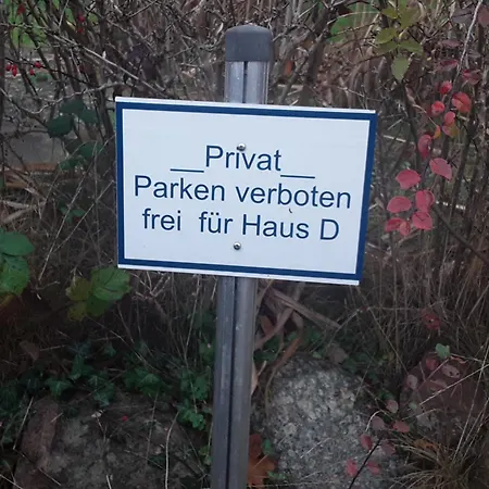 Friese D-eg *